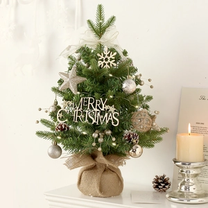 Mini Christmas tree with LED lights, golden stars and pine cones on a wooden base