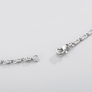 Detail of silver stainless steel S-link chain with a secure lobster clasp closure