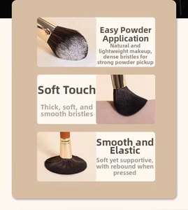 Macro shot showing soft bristles, powder pickup, and elasticity of the 9pcs mini brush set