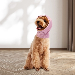 Close-up of pink high-elastic knitted dog ear cover on a small pet in home setting