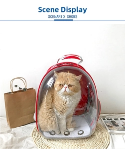 Close-up of a red transparent space capsule pet carrier with breathable metal air vents