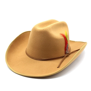Western Cowboy Hat Wool Felt Wide Brim Vintage Outdoor Fedora With Feather Decor Leather Cord For Men And Women