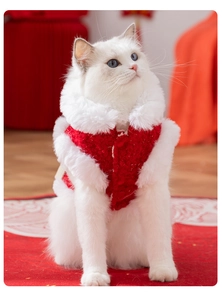 Festive red cat vest with white faux fur collar and traditional embroidery for New Year