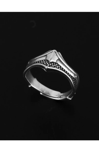 Detailed macro shot of vintage silver adjustable ring with Gothic shield and mesh texture
