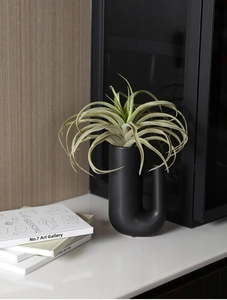 Vase en céramique noir mat en forme de U avec plante aérienne sur un bureau