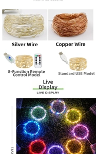 Detail of USB copper and silver wire LED fairy lights with remote for festive decor