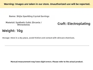 Detailed material specification of sparkling cubic zirconia stud earrings in titanium steel