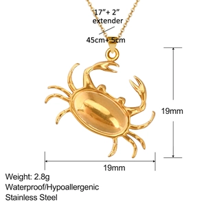 Dettaglio del ciondolo a granchio dorato 19x19mm e della catena in acciaio inossidabile