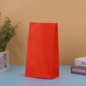 Solid red kraft paper gift bag styled with books and plants for party favors