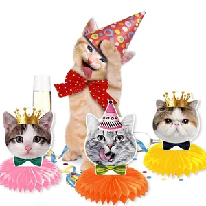 Three-piece cat theme birthday honeycomb table centerpieces with colorful bases