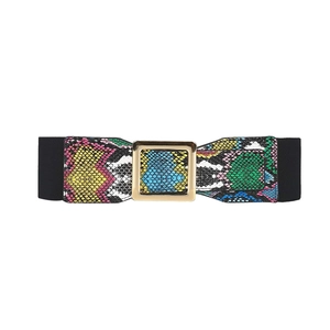 Elastic waist belt featuring colorful snake print pattern and polished gold metal buckle