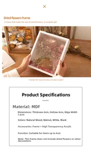 Deep 4cm hollow wooden frame detail showing 6cm thickness and plexiglass for DIY flowers