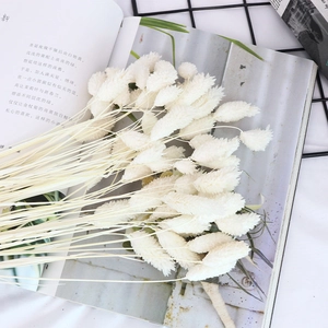 Macro shot of natural dried white canary grass stems on an open magazine for decor