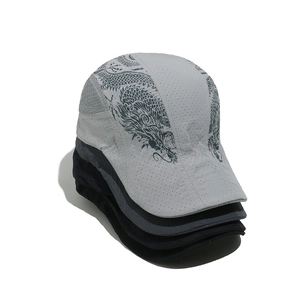 Coppole traspiranti in mesh con stampa di drago in tessuto grigio a rapida asciugatura