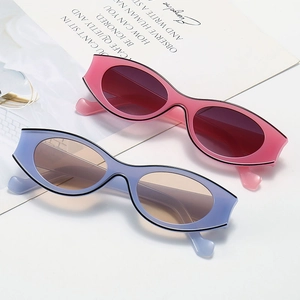 Retro Oval Sunglasses UV400 Protection Vintage Cat Eye PC Frame AC Lens Fashion Outdoor Eyewear For Women Men