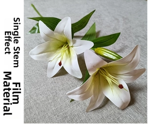 Detail of single white 3D film lily flower with realistic texture and green stem