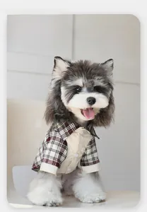 Detail of red and black plaid cotton dog shirt with soft white buttons and beige collar