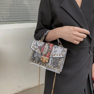 Fashionable transparent jelly bag with snakeskin pattern and gold chain strap for women