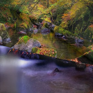 Detailed close-up showing high-definition printing of forest stream landscape on fabric