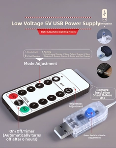 Detailed view of LED light string USB controller and remote with 8 lighting modes