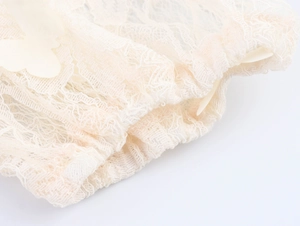 Macro view of apricot lace mesh fabric with butterfly embroidery and scalloped edges