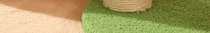Detailansicht eines Kratzbaums mit grüner Plüschbasis und robustem Natursisal-Kratzstamm