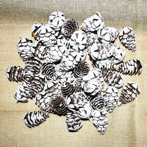 Christmas Pine Cone Ornaments Snow Tipped Plastic Frosted Pinecone For Christmas Tree DIY Crafts Rustic Winter Holiday Decor
