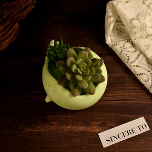 Mini plantes succulentes artificielles en pot vert clair sur une table en bois