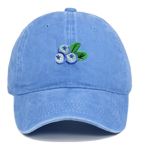 Détail de la broderie de bleuets sur une casquette de baseball vintage délavée