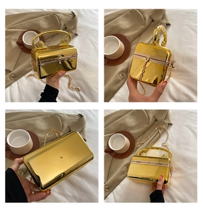 Detailed four-angle view of gold metallic acrylic box clutch with lion head accents