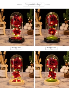 Detail view of artificial rose flower in glass dome with LED lights and black base