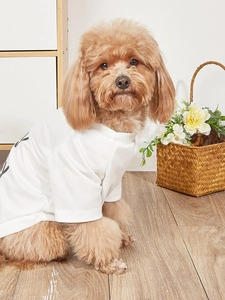 Close-up of pet mesh T-shirt featuring breathable fabric and printed letter patterns