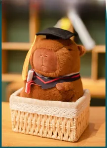 Close-up of cute capybara plush toy wearing black graduation cap and academic scarf