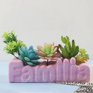 Detail of pink Familia relief planter with vibrant succulent plants and sharp textures
