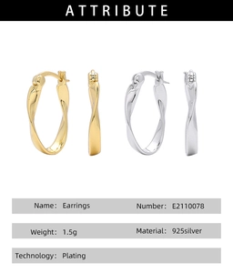 Detail view of 925 sterling silver Mobius twist earrings in gold and silver finishes