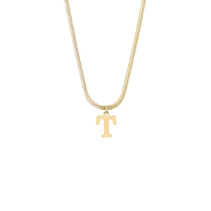 Detailed view of capital letter T pendant in gold finish on a sleek snake chain