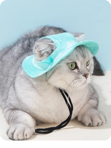 Detail of mint green pet sun hat with ear holes and adjustable buckle on a cat