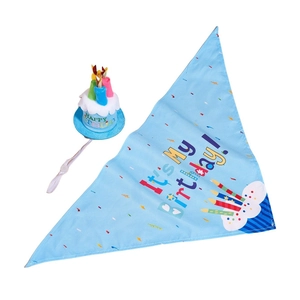 Blue dog birthday set with It's My Birthday bandana and cake shaped party hat