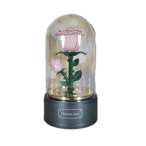 Close-up of pink preserved roses with glitter inside a glass dome on a musical base