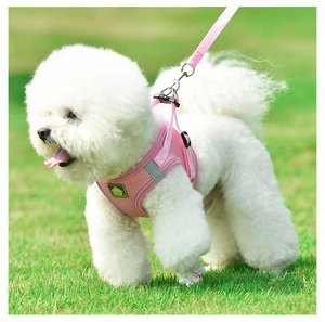 Pink breathable mesh dog harness and leash set on a white Bichon walking on grass