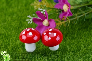 Dettaglio di funghi rossi in miniatura con puntini bianchi su erba verde