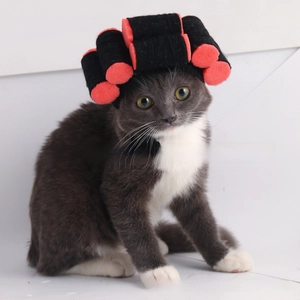 Funny pet headpiece with red curlers for cats and small dogs, shown on a cat