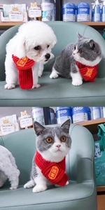 Gros plan d'une écharpe tricotée rouge festive pour animaux avec broderie chinoise