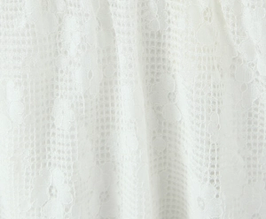 Gros plan détaillé du tissu en dentelle florale blanche avec broderie complexe