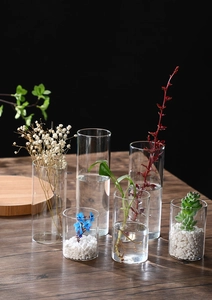 Close-up of minimalist cylindrical glass vases with plants on dark wood desktop