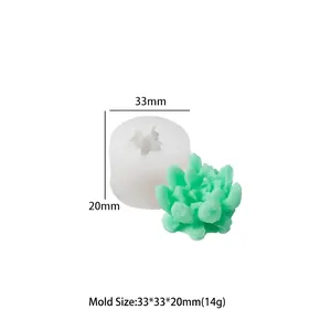 Macro-opname van de vetplant siliconen mal met afmetingen 33x33x20mm voor doe-het-zelf