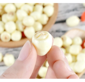 Macro close-up of a realistic PVC imitation white lotus seed model for DIY dollhouse crafts