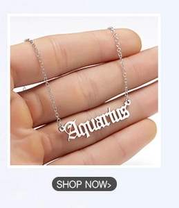 Detailed view of silver-tone Gothic Aquarius nameplate necklace held by hand