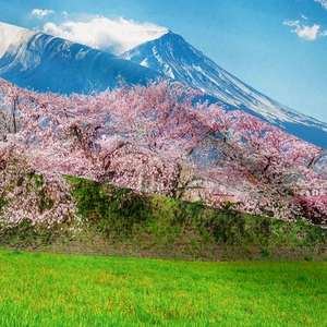 Detail of tapestry showing Mount Fuji and cherry blossoms with woven fabric texture
