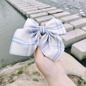 Detailed view of a blue and white checkered bow hair clip held by hand near a river